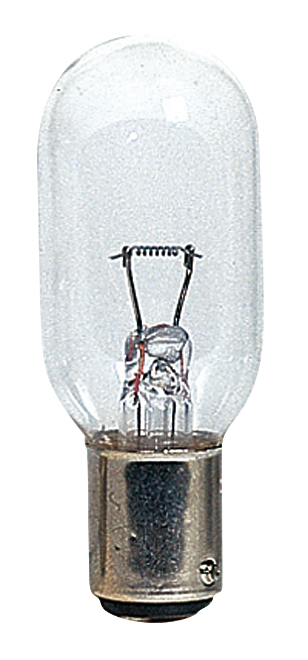 Kleine Glühlampe mit klarer Glasabdeckung und Bajonettsockel, aufgenommen frontal