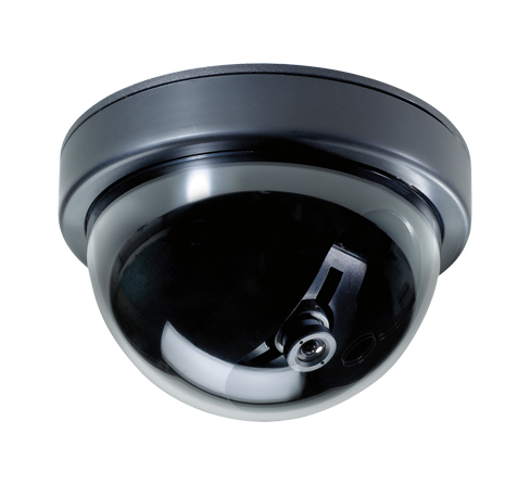 Dome-Kamera mit schwarzem Gehäuse.